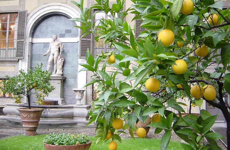 Дворец палаццо Медичи-Риккарди во Флоренции - часовня волхвов